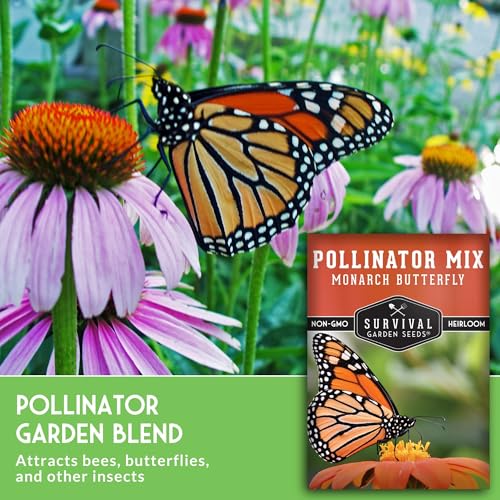 Butterfly and Bee Flower Seeds for Planting