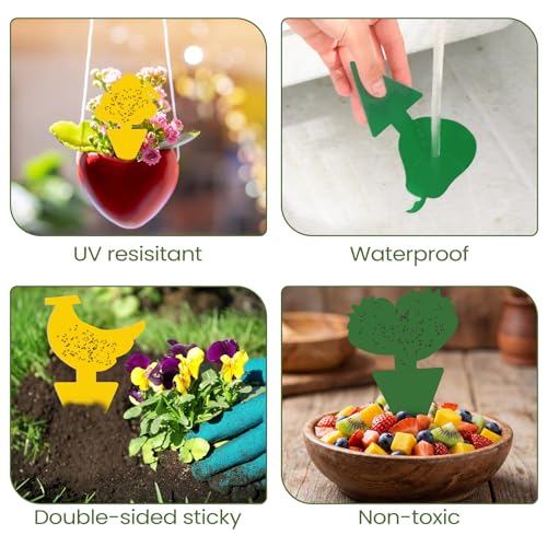 200 Sheets Fruit Fly Sticky Traps for Fruit Fly Gnat Trap for House Indoors Sticky Traps Catcher for Gnats Fungus Gnats Mosquito Catcher for Kitchen Outdoor Plants (Yellow, Green / Cute Style)