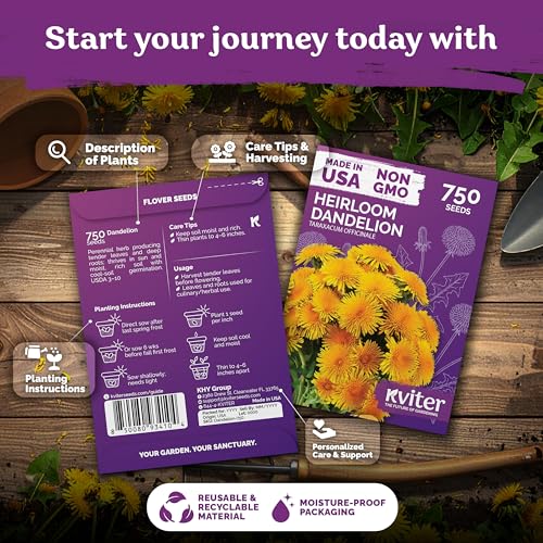 750 Dandelion Heirloom Flower Seeds for Planting