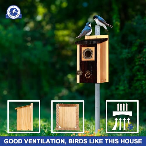 2 Pack Bluebird Houses for Outside (Deeply Burnt Vintage Hue -- 2PK)