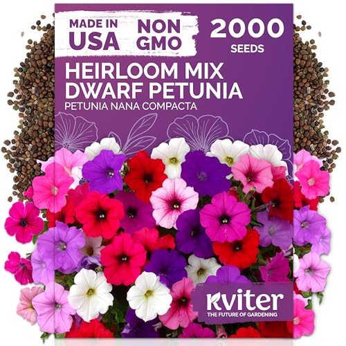 2 000 Mix Dwarf Petunia Heirloom Flower Seeds for Planting