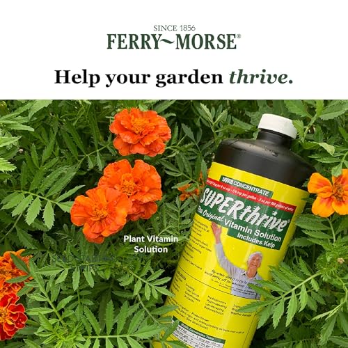 SUPERthrive Plant Vitamin Solution (1 Quart)