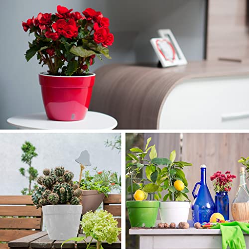 ASTI 7.1 Inch Self Watering Planter in Black