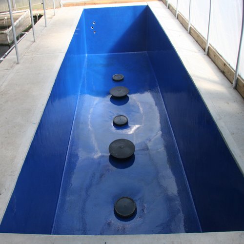 Pond Armor SKU (Paint / 3 Gallon / Competition Blue)