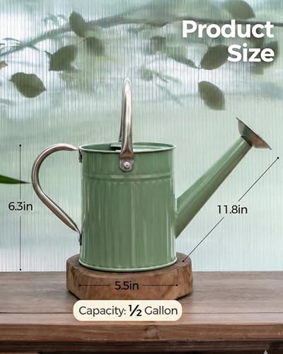 Metal Watering Can for Indoor Outdoor Plant 1 (Creamy Green)