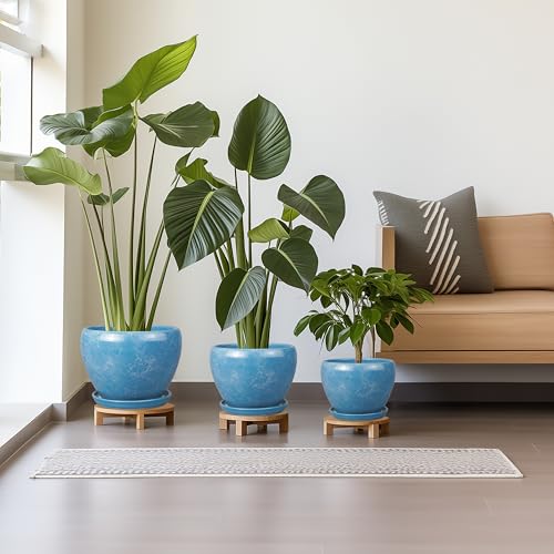 Ceramic Plant Pots (3 Count)