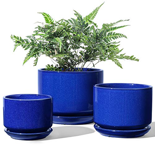 Ceramic Pots for Plants (3 Count)