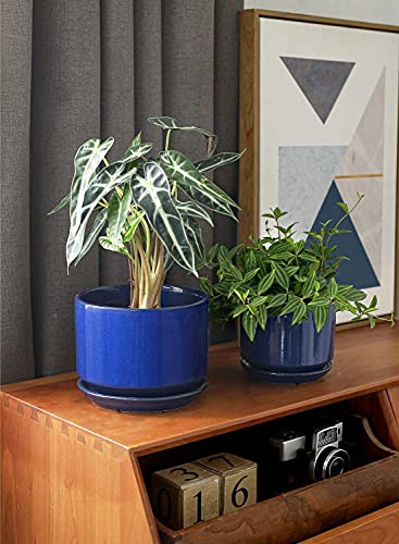 Ceramic Pots for Plants (3 Count)