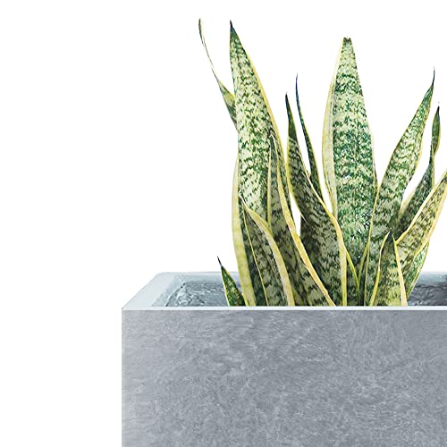 Accent Tall Square Blue Gray Concrete Planter 16" H (Slate Gray / 15.7" H)
