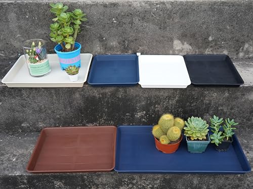 Plant Growing Trays 2 Pack (2 Count)