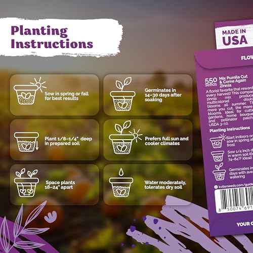 550 Cut and Come Again Zinnia Heirloom Flower Seeds