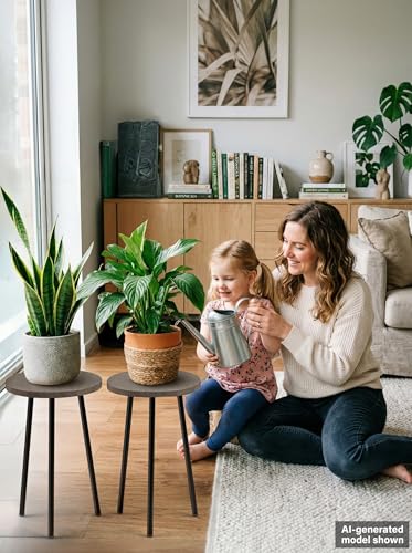 Plant Stand Indoor 2 Pack (Grey Wood / 20"&20")