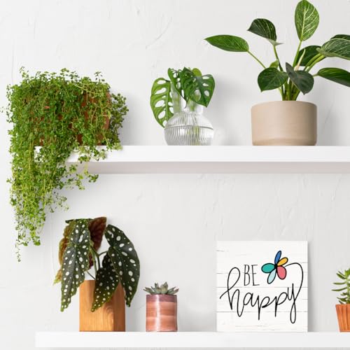 Inspirational Wood Signs (Inspirational16)