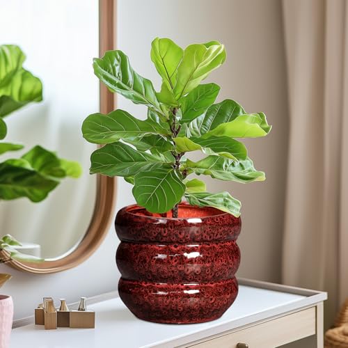 Ceramic Flower Pots (8 Inch / Leopard Print Red)