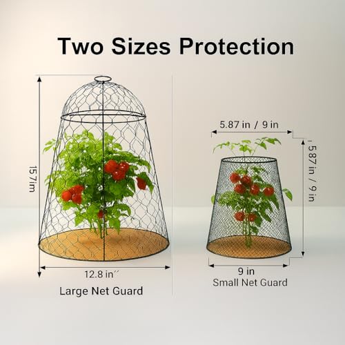 Garden Cloches for Plants (Set of 6+6)