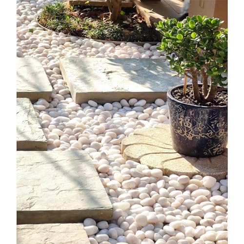 5 lbs White Rocks for Plants