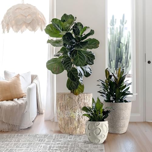 Round Concrete Style Planter Set of 3 (Sandstone)