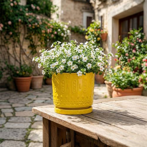 Plant Trays for Pots 5.6 Inch (5.6" / Yellow)