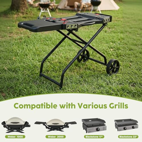 Foldable Grill Stand for Weber Q1200 Blackstone 17"&22" Griddle (26 IN.)
