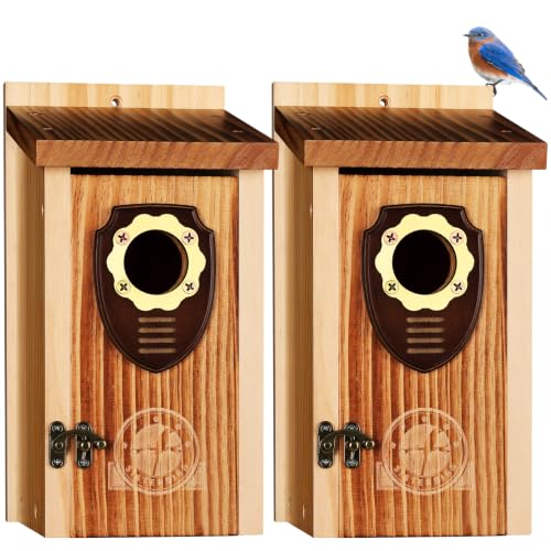 2 Pack Bird House (Medium-roast coffee color -- 2PK)