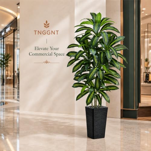 Artificial Dracaena Tree (Dark Green – Black Pot / 6FT)