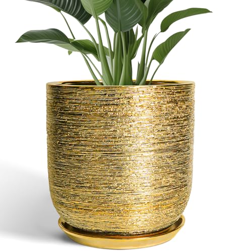 Ceramic Pots for Plants 12 Inch