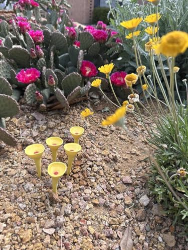 5 Pack Bee Watering Station (5 Count)