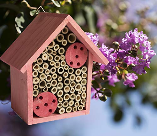 Mason Bee House Bamboo Tube Solitary Bee Hotel