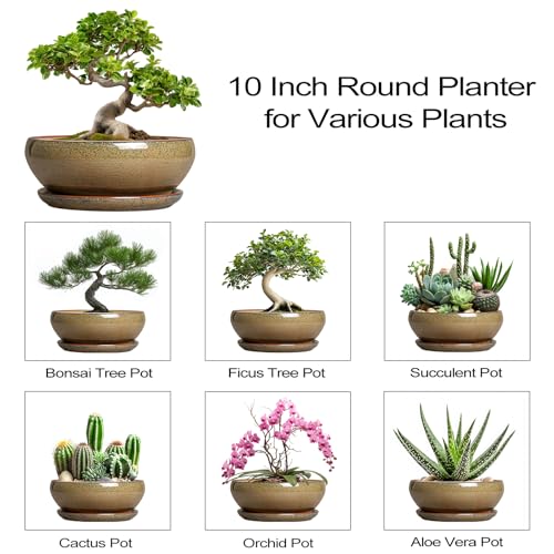 Bonsai Planter (10 Inch / Speckled Brown)