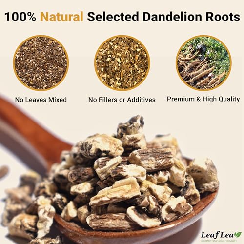80 Dandelion Tea Bags (80 Count)