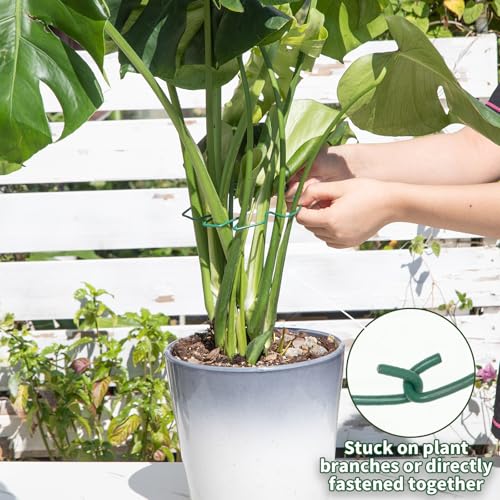 Green Monstera Plant Stem Support (Green / 5.5IN*4.7IN)