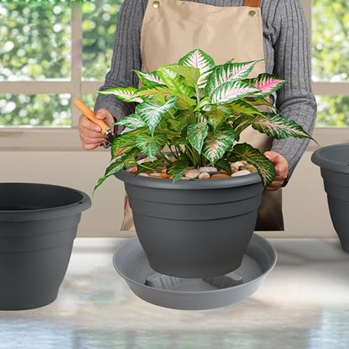 4 Pack Plant Saucer 10 inch (10"-4 Pack / Gray)