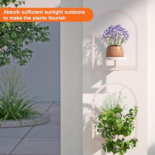 Wall Plant Holder (2 Count)