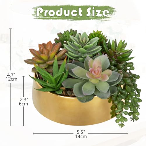 Artificial Succulent Plants in Pot 5.5 Inch Fake Succulents Arrangement (Gold Ceramic#style 2)