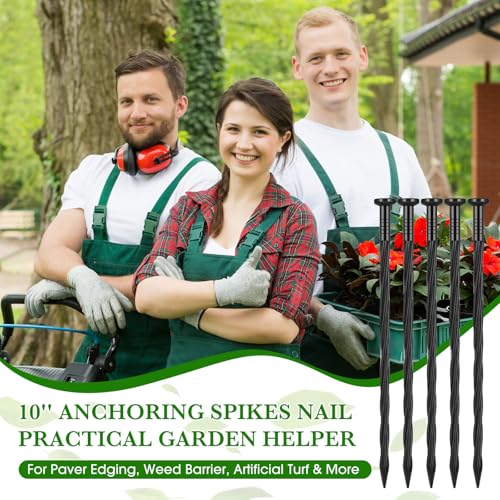 300 Pcs 8 Inch Black Landscape Edging Stakes (Black / 10 Inch)
