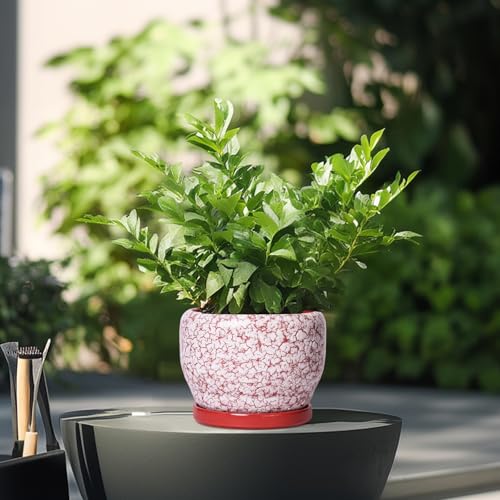 6 Inch Plant Pot
