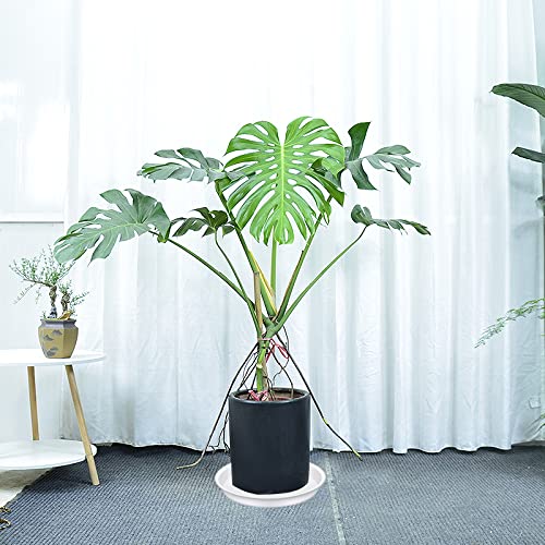 4 Pack of 16 inch Plant Saucer White (4 Count)