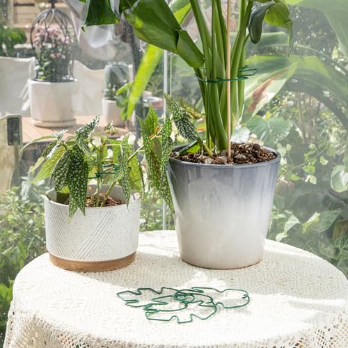 Green Monstera Plant Stem Support (Green / 5.5IN*4.7IN)