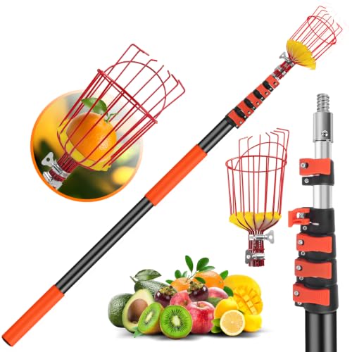 30 FT Reach Fruit Picker Pole with Basket Telescoping (Reach 30ft（24ft))