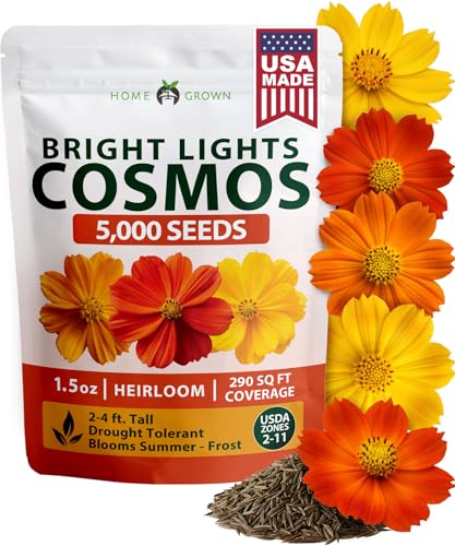 Cosmos Bright Lights Mix 5000 Flower Seeds Cosmos sulphureus