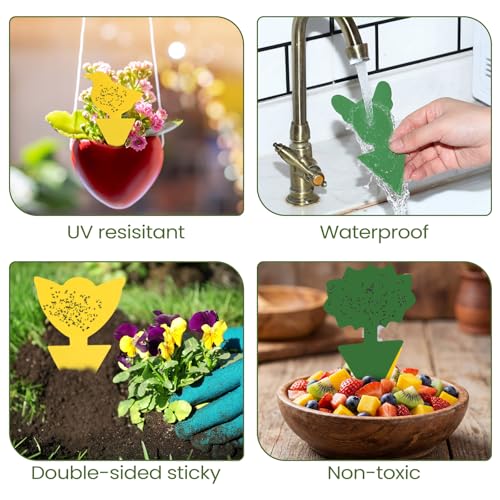 50 Sheets Fruit Fly Sticky Traps for Fruit Fly Gnat Trap for House Indoors Sticky Traps Catcher for Gnats Fungus Gnats Mosquito Catcher Kitchen Outdoor Plants (Yellow, Green / Classic Style)