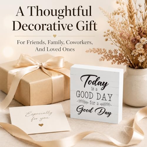 Today is A Good Day to Have A Good Day Inspirational Sayings Wall Decor Signs (Home sign 04)