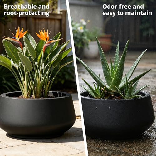 Set of 3 Black Concrete Shallow Planters 21.6" 16.9" 12.5" Dia (Black / 21.6",16.9",and 12.5" Dia)