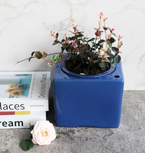 2 Pack Ceramic African Violet Self Watering Pot 6 Inch Square Pot 3.5 Inch Innter Pot Easy Fill Water Reservoir Blue (Blue)