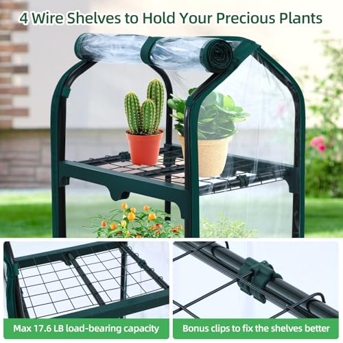 Mini Greenhouse for Indoor Outdoor