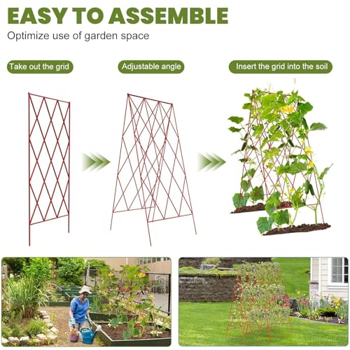 Cucumber Trellis 2 Pack (Garnet Red / 39.4" H)