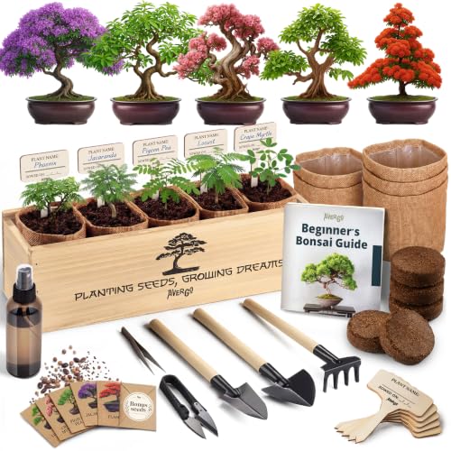 Bonsai Tree Kit Deluxe