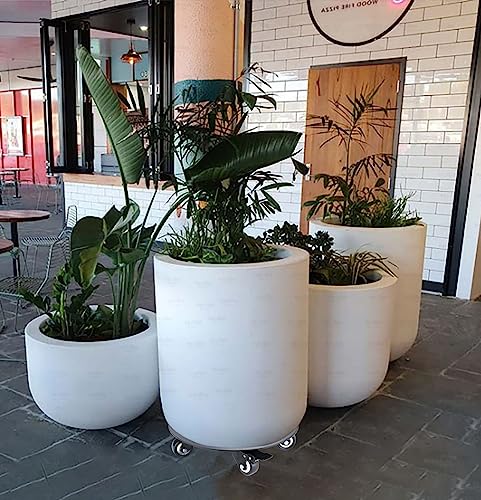 Plant Stand with Wheels