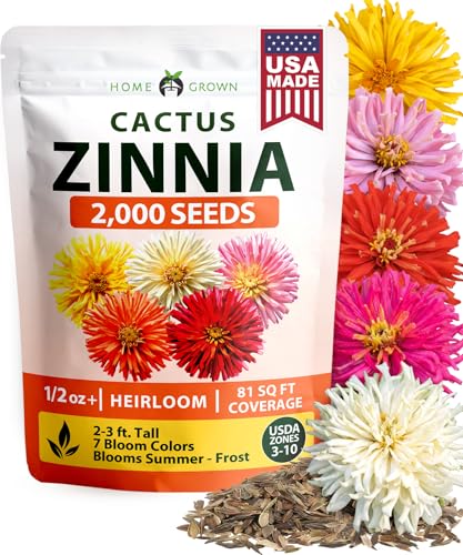 Zinnia Cactus Mix 2000 Flower Seeds Zinnia elegans