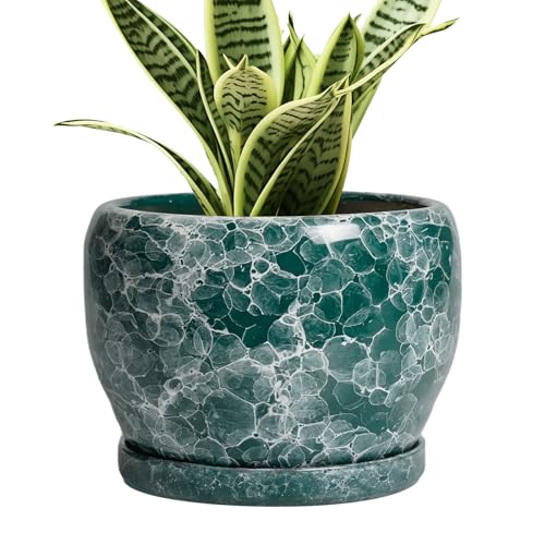 Ceramic Pot for Plants